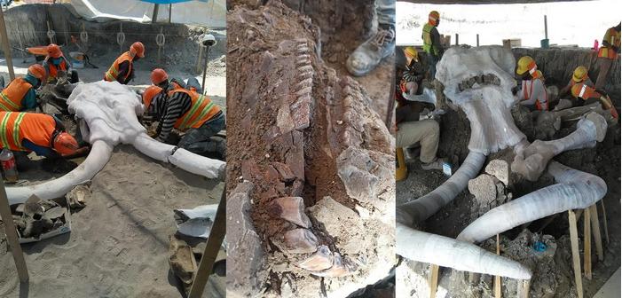 猛犸象杀死原始人,猛犸象杀人事件