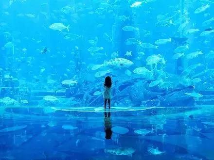 80张惊艳美图,80张风景图片大全