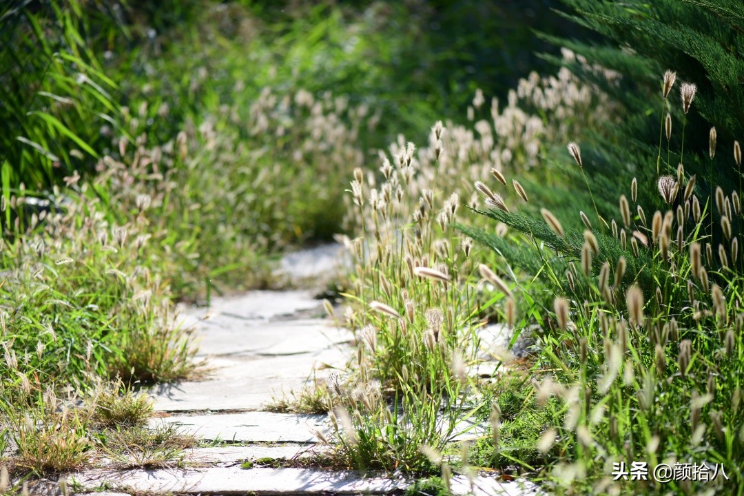 北京圆明园一日游推荐,圆明园秋色如画