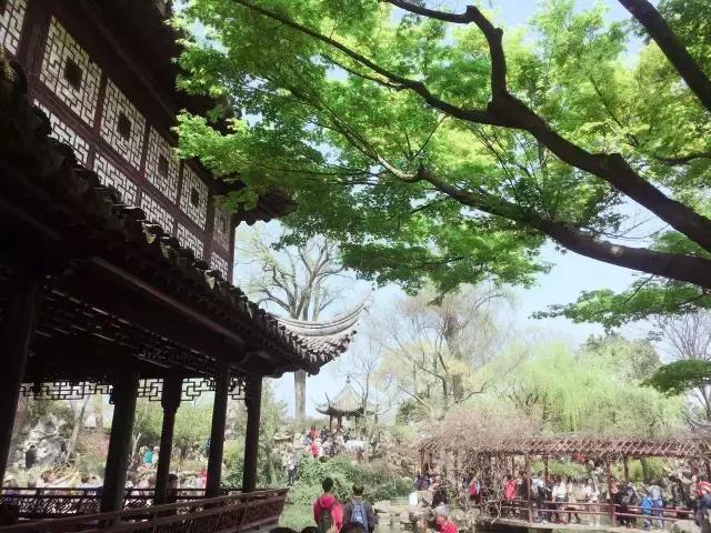 中国园林的诗情画意之美,虽由人作宛自天开的造园理念