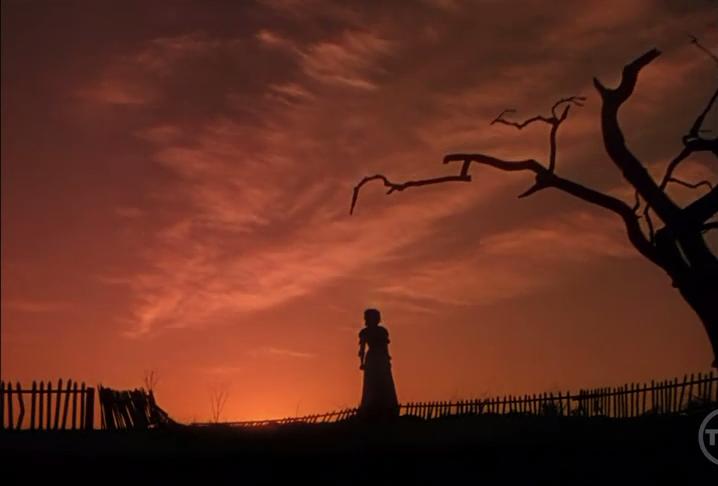 乱世佳人白瑞德的真名,乱世佳人的真实资料