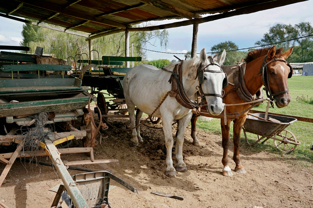 拍马都追不上的成语,拍马都赶不上的成语