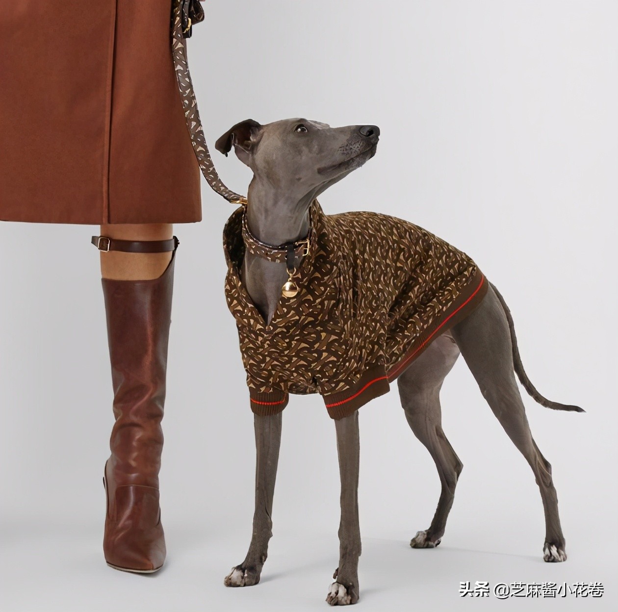 凡尔赛文学其实无处不在,凡尔赛文化盛行