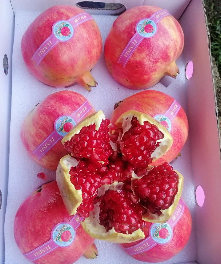 8月份最早上市水果,8月初成熟新品种桃