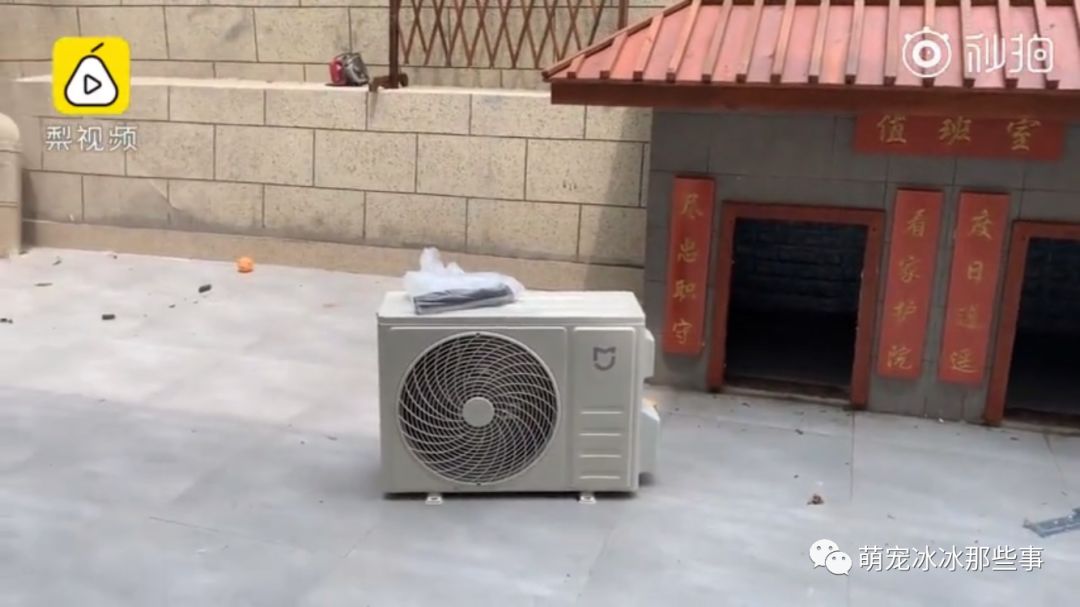 最壕狗窝！主人花3万5为爱宠造了个别墅，泳池和阳光房全都有