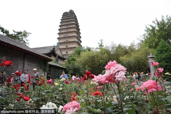北京到兰州的飞机票特价机票,北京到海口飞机特价机票