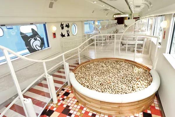 坐火车旅行最美线路亲子,火车体验风土人情