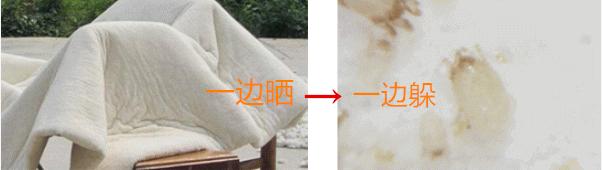 螨虫最怕什么东西消灭,螨虫最怕的一个小妙招