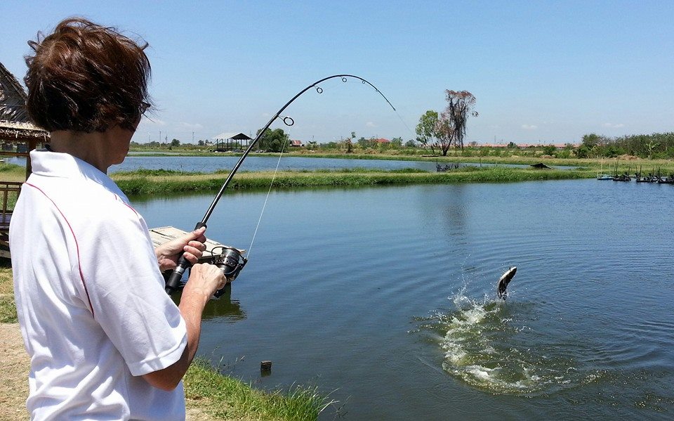 狮子鱼为何在美国泛滥成灾,蛇头鱼在中国为什么不泛滥