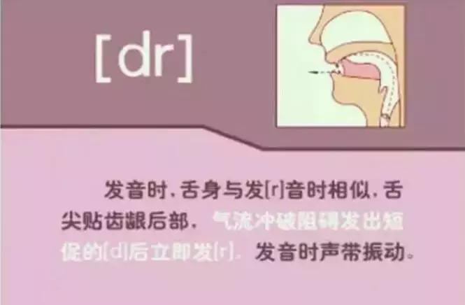 音标发音48个正确发音口型,小学英语音标发音48个口型