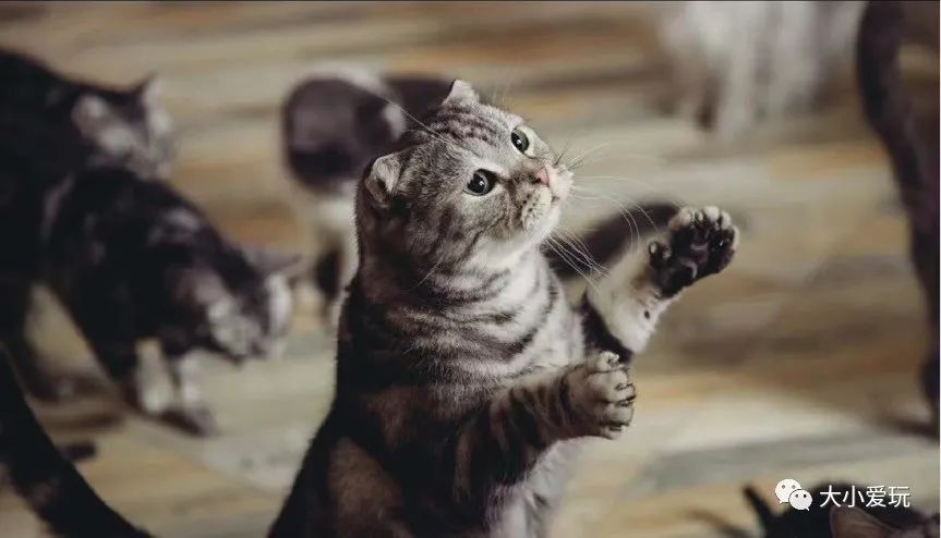 北京主题星空餐厅哪里的好,北京太空舱主题餐厅