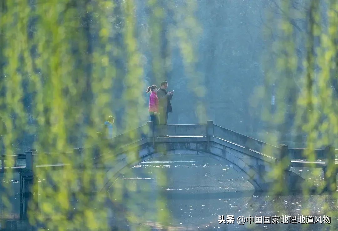 什么是西湖成语,什么是西湖莼菜