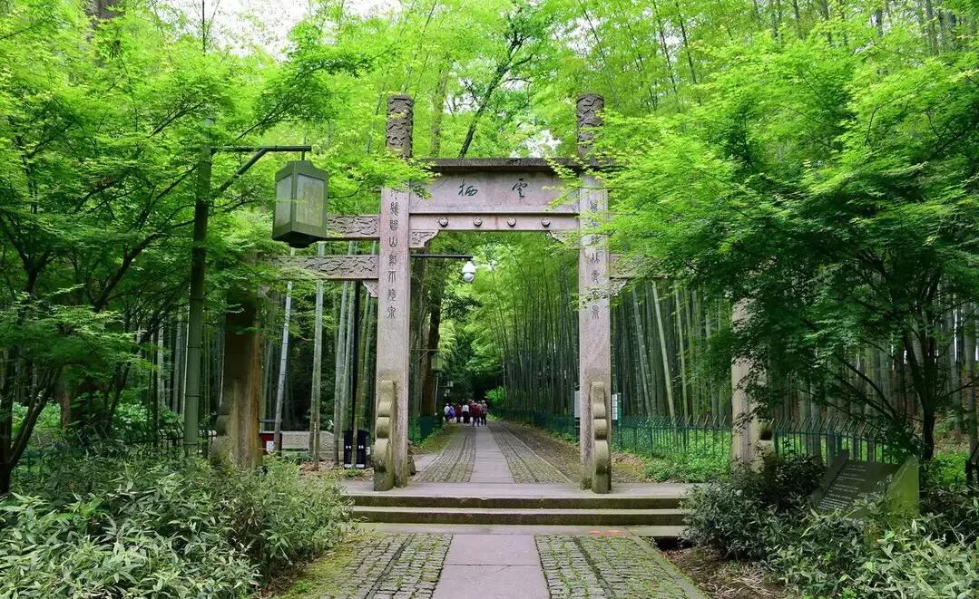 如何挑选西湖龙井茶,西湖龙井茶多少一斤