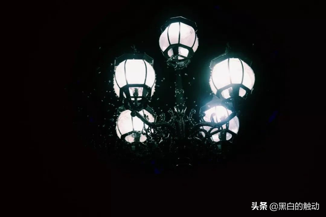 都说新疆好去新疆发展可靠么,都说新疆好地方