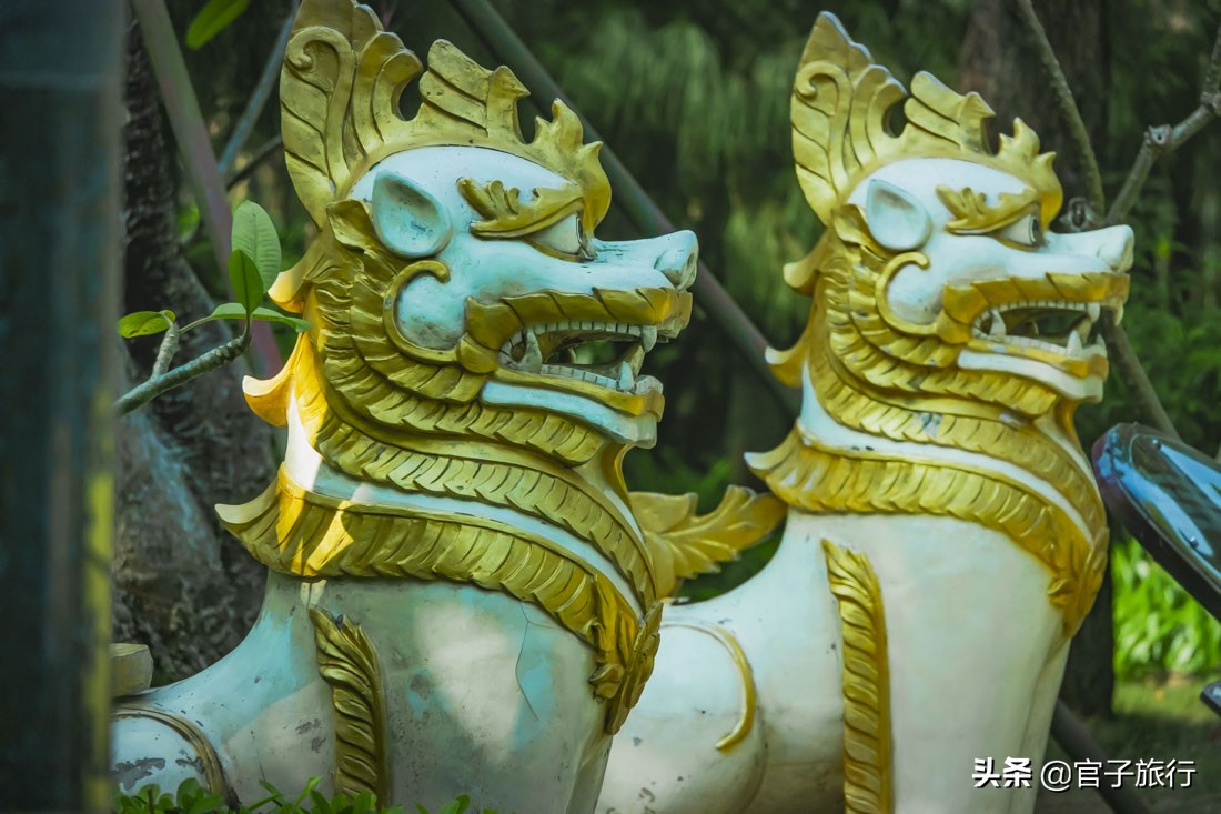 再游青秀山，看“熊猫级”国宝苏铁王，只为千年等一回的告别