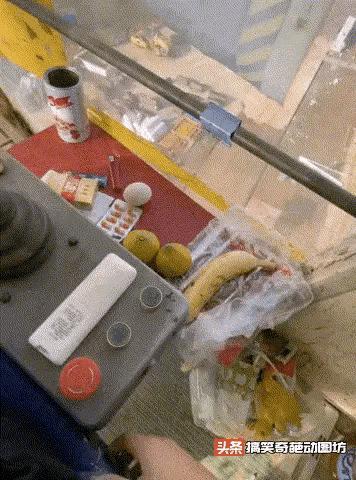 动图搞笑瞬间,遇事不要慌搞笑动图