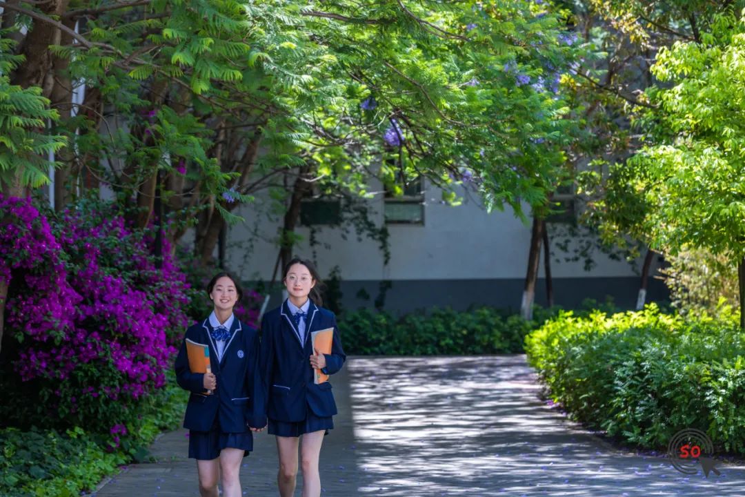 校园|遇见.初夏属于十中的紫色烂漫