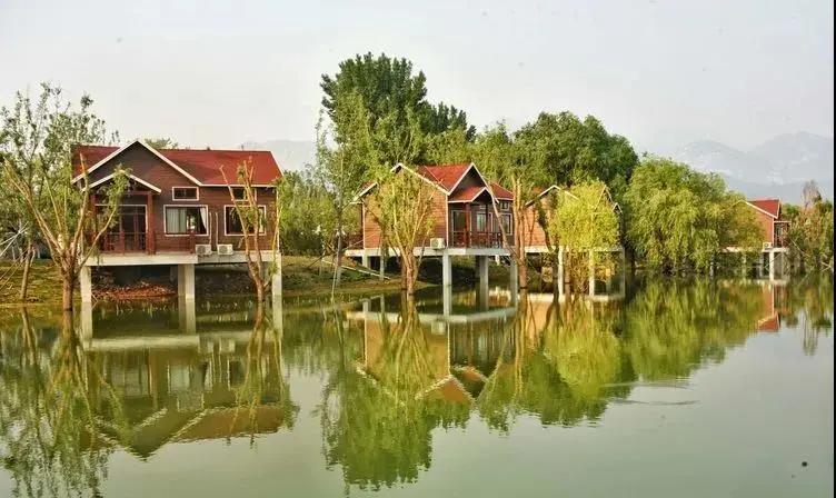 泰山案例,西湖印象拍摄地点