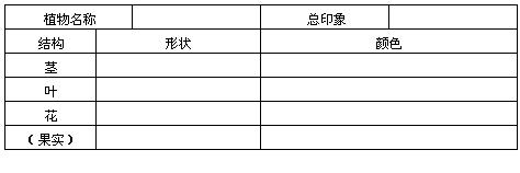 小学训练作文最好的书,小学生作文训练书籍推荐