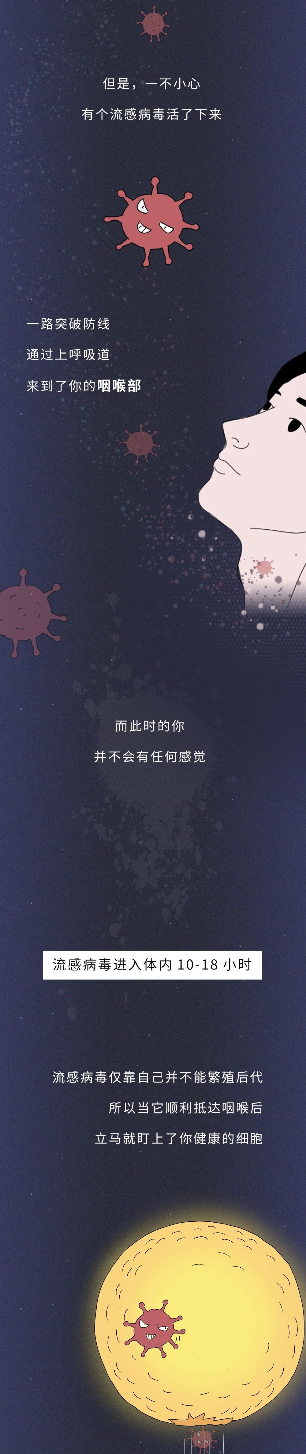 一张图读懂流感病毒的真正可怕之处