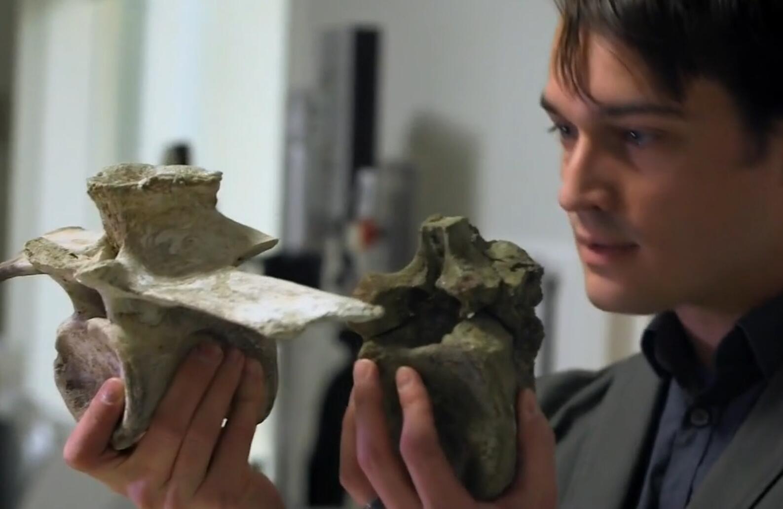 比沧龙都厉害的鳄鱼,淡水沧龙和鳄鱼竞争