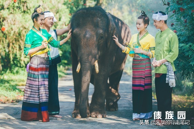 西双版纳泼水节攻略,西双版纳傣族泼水节和广西泼水节