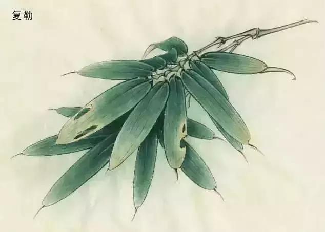 工笔画红叶染色技法,工笔画牡丹花头染色技法步骤