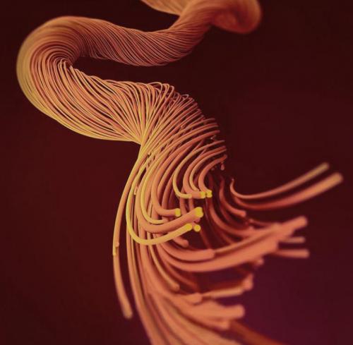 红豆衬衫男款2021款网红款,红豆粉紫色衬衫