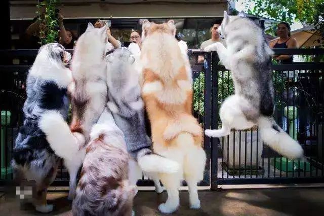 曼谷免税店必买清单,曼谷东西最全的免税店