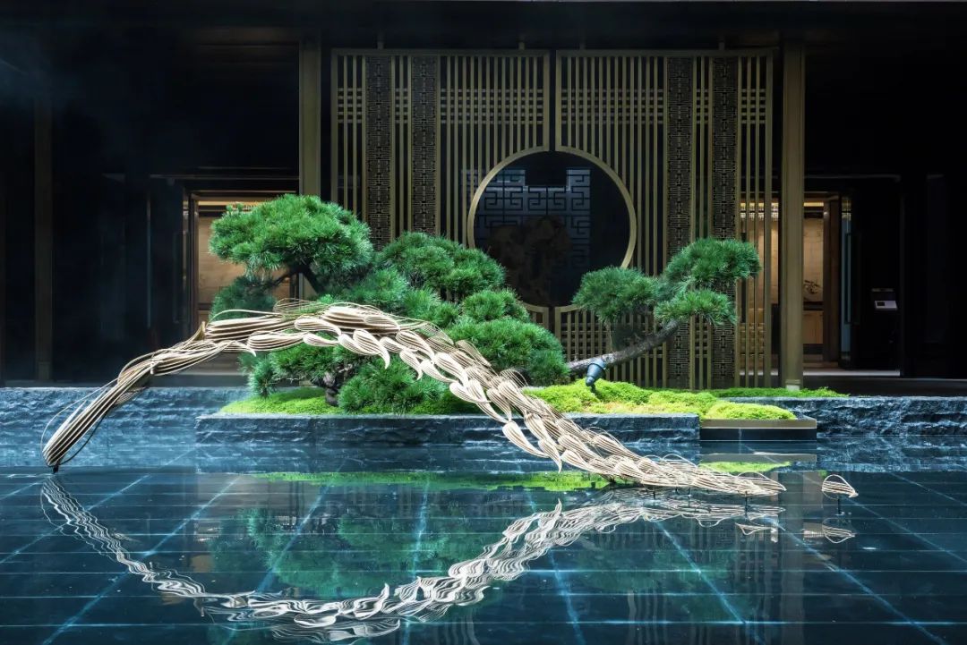 萌宠上阵，整个空间都奇趣了！