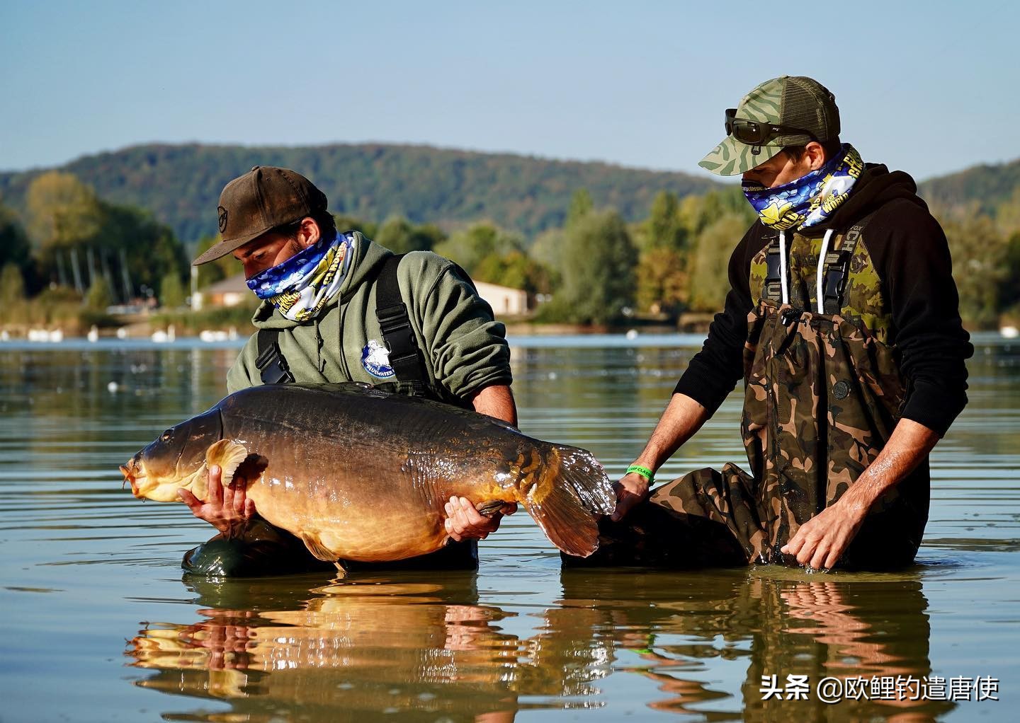 欧洲疫情催生钓鱼热？名企推新手套装钓大鲤鱼