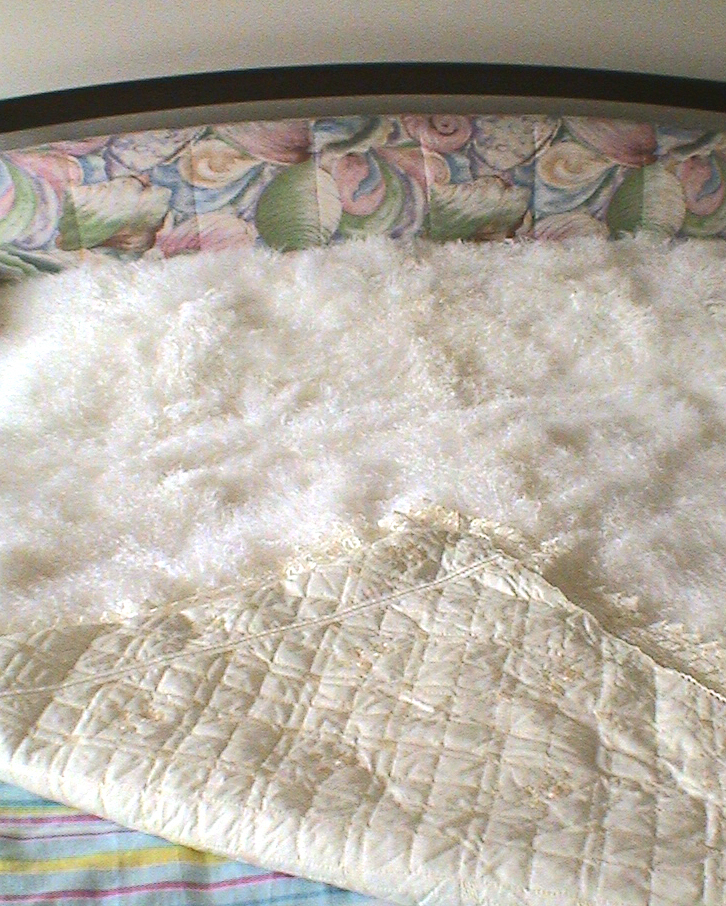 宁夏十大特产农产品,宁夏十大特产面