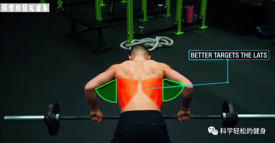 背部肌肉训练计划虐出完美的背肌,背部各个肌肉位置锻炼方法