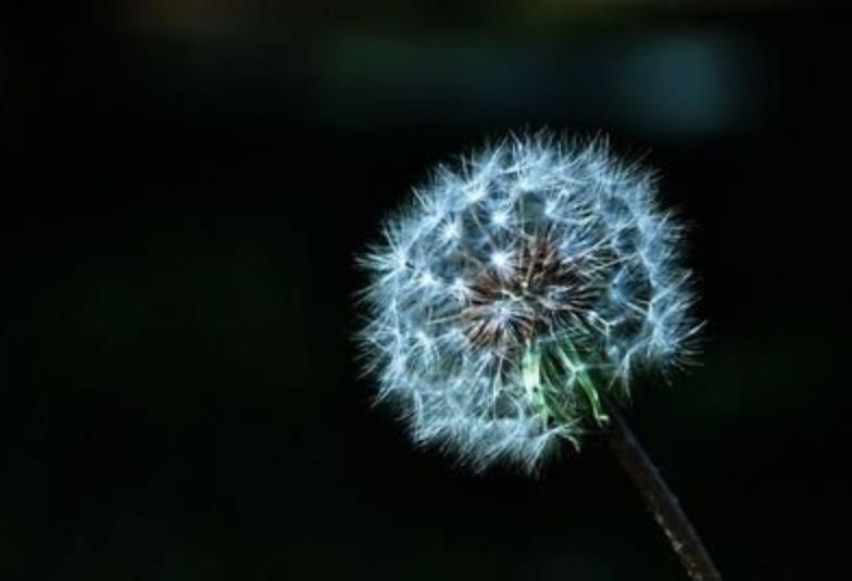 独臂少年励志成名5年,14岁篮球独臂少年励志