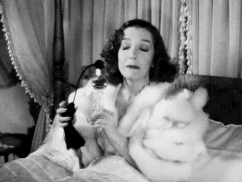 祖玛珑照片,祖玛珑吐槽