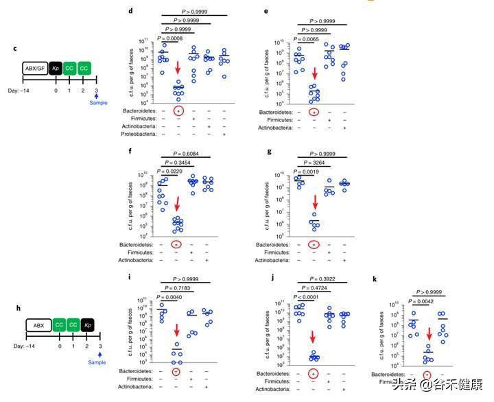 探索微生物奥秘演讲,微生物菌剂探索