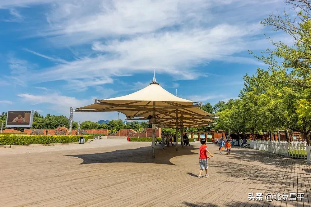 北京庆七一花坛摆放图片,北京长安街迎国庆立体花坛亮相