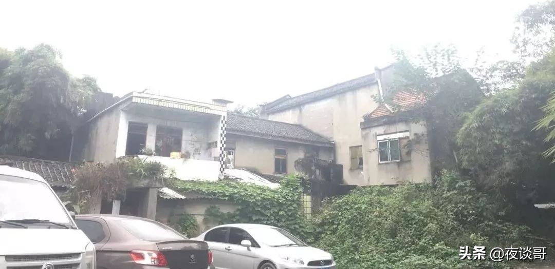 来成都感受这里的慢生活,来成都一年的感受