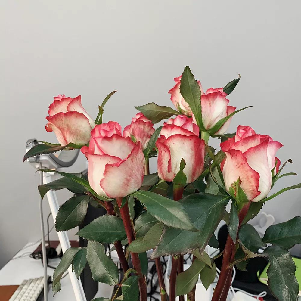 网上买东西怎么交智商税,网上买的智商税产品