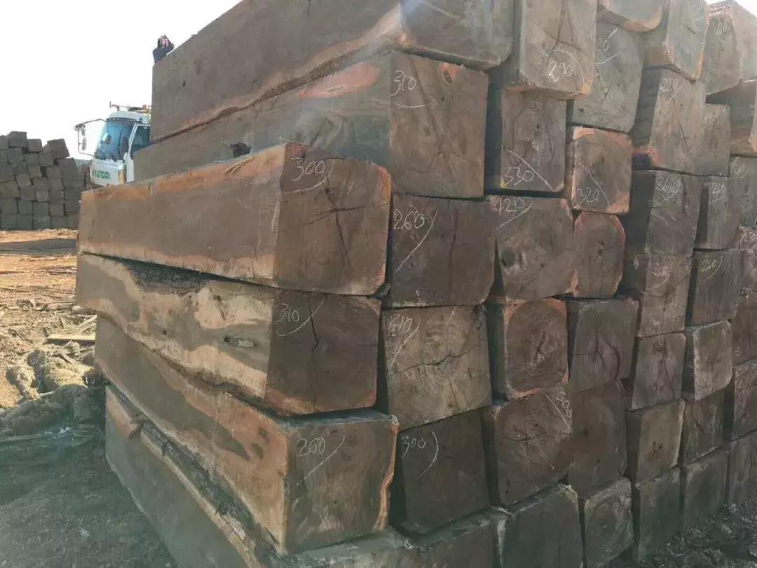 明清时期最受欢迎的7种红木用材,红木用材特征分类标准有哪些