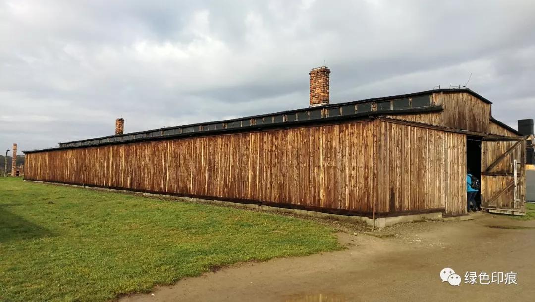 奥斯维辛集中营旅游,奥斯维辛集中营雏菊