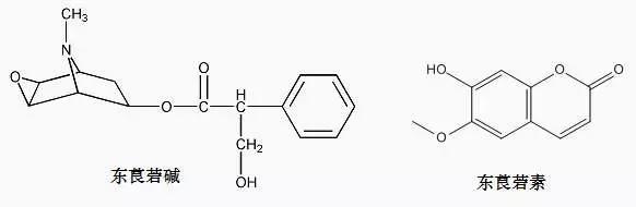 cia绮剧鎺у埗瀹為獙,cia绮剧鎺у埗