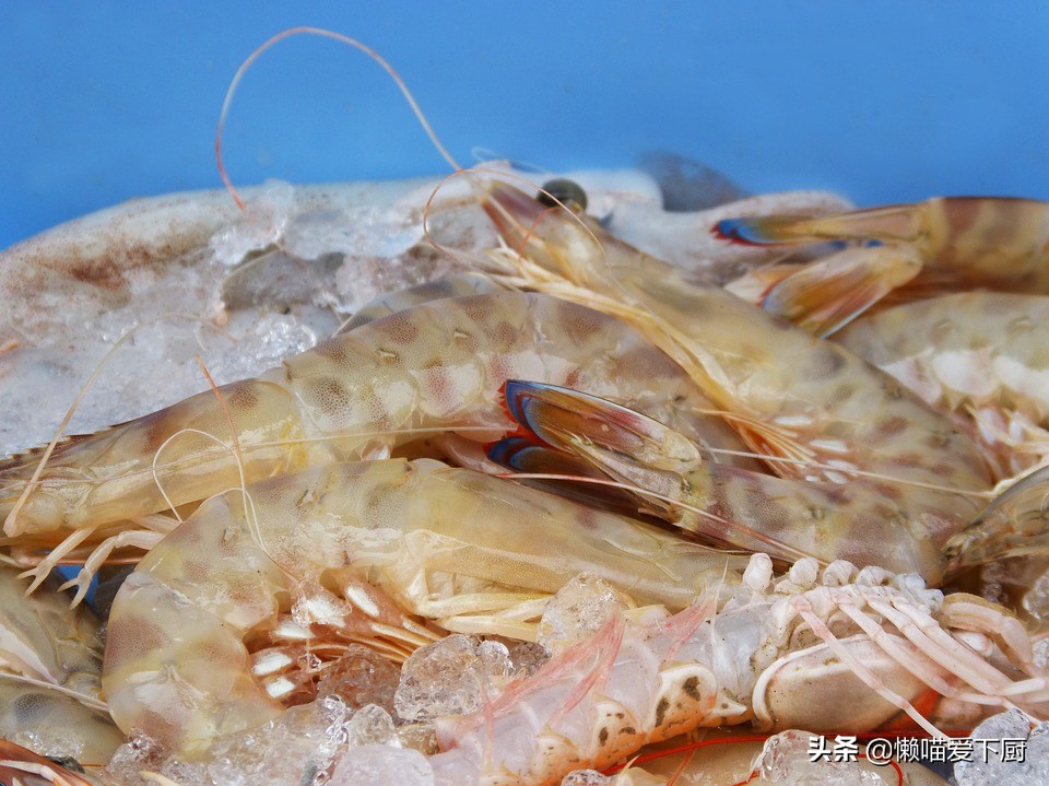 基围虾明虾和白对虾哪个好吃,虾和基围虾的区别在哪里