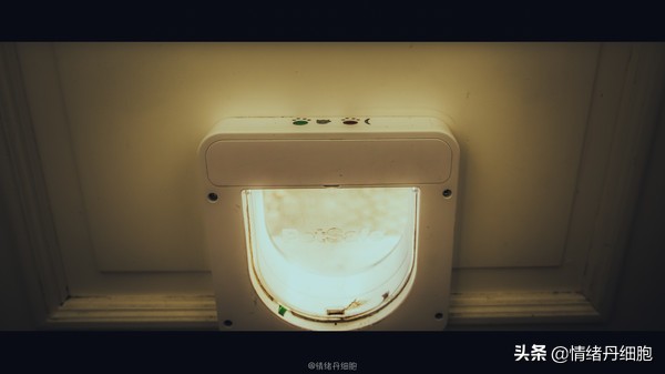 可以去玩一整天的地方,能玩一两天的地方