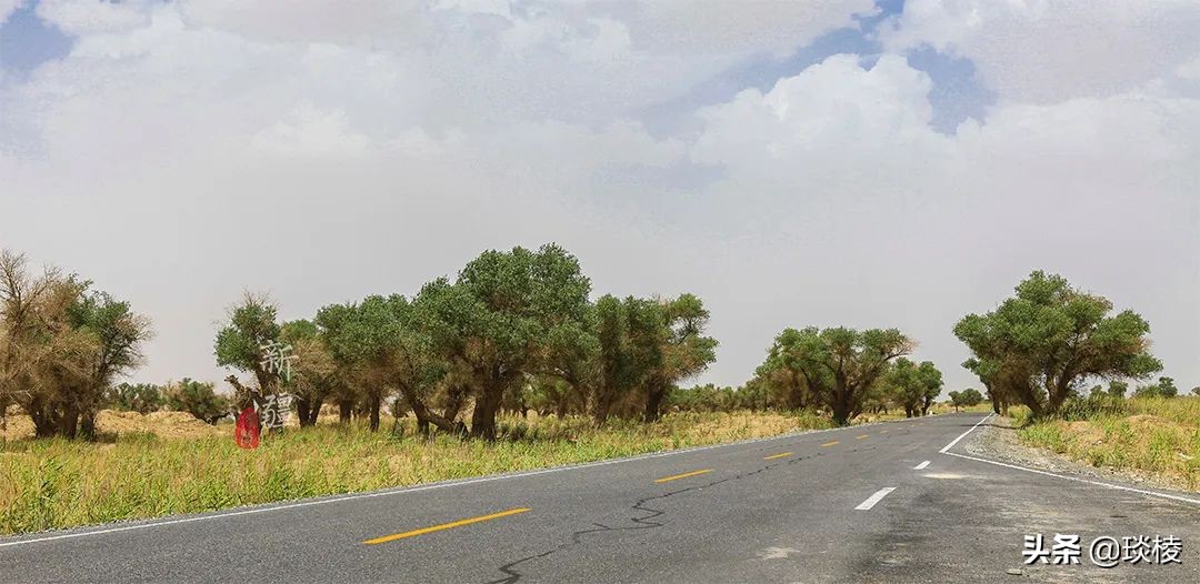 中国66号公路旅游攻略,中国自驾游66条经典线路