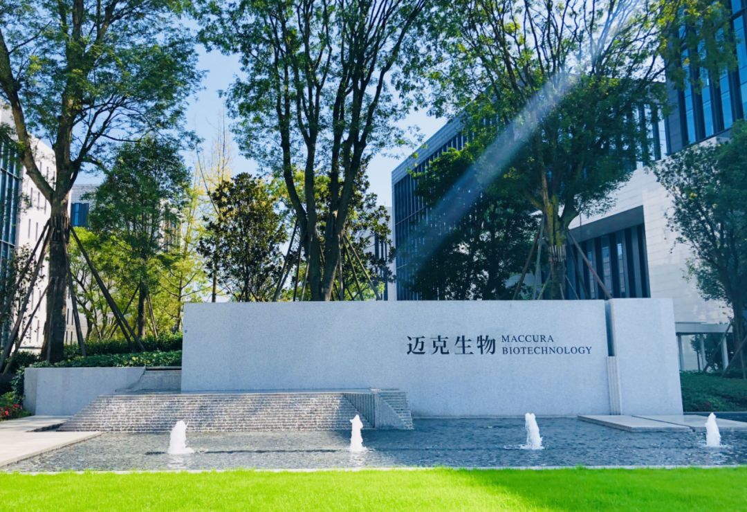 20年只做了一件事,20年只专做一件事