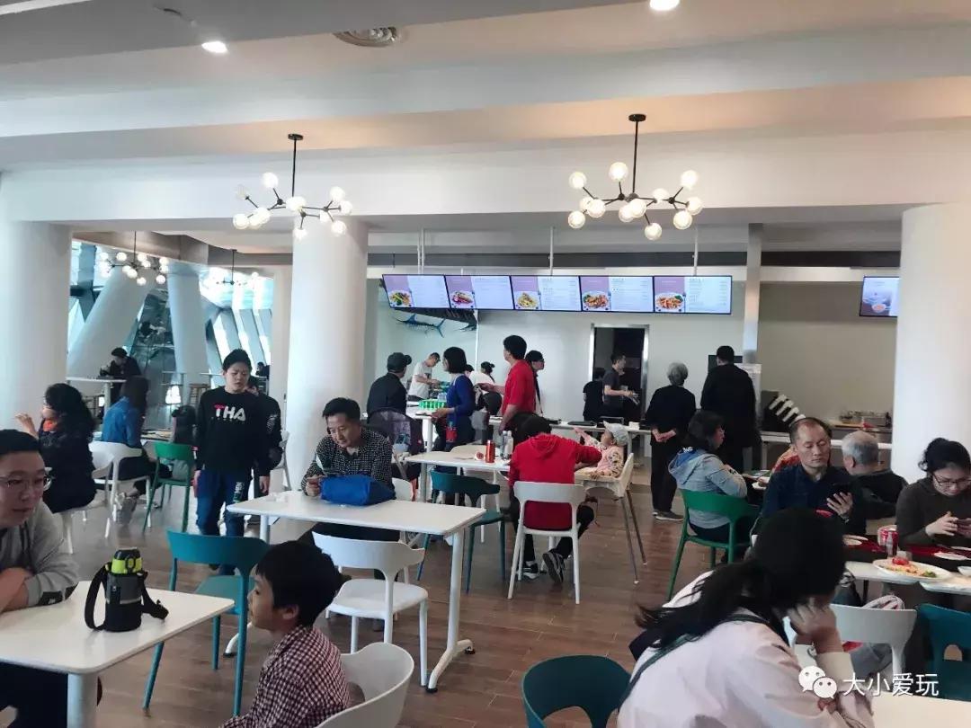 开放首日实探国家海洋博物馆，史上最抢手博物馆究竟长什么样