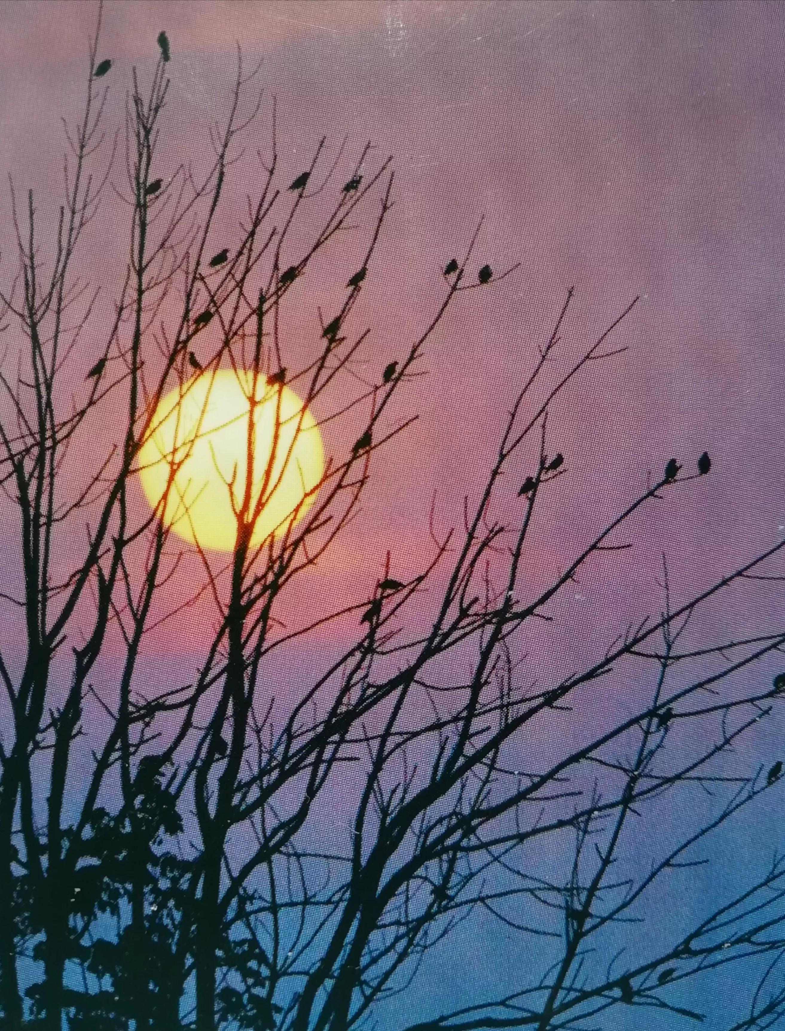 【旧作自励】原创中篇小说《烈血夯歌(十八.续完)》陈正才