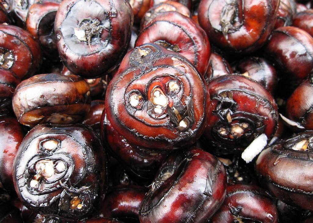 荸荠和梨的功效比较,荸荠雪梨水功效与禁忌