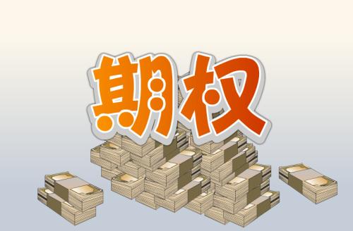 秒懂外汇期权,看完后秒懂金融经济学